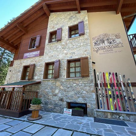 Wildhomes Wild Wolf Lodge Courmayeur Exteriér fotografie