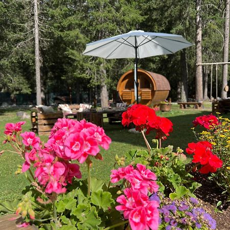 Wildhomes Wild Wolf Lodge Courmayeur Exteriér fotografie