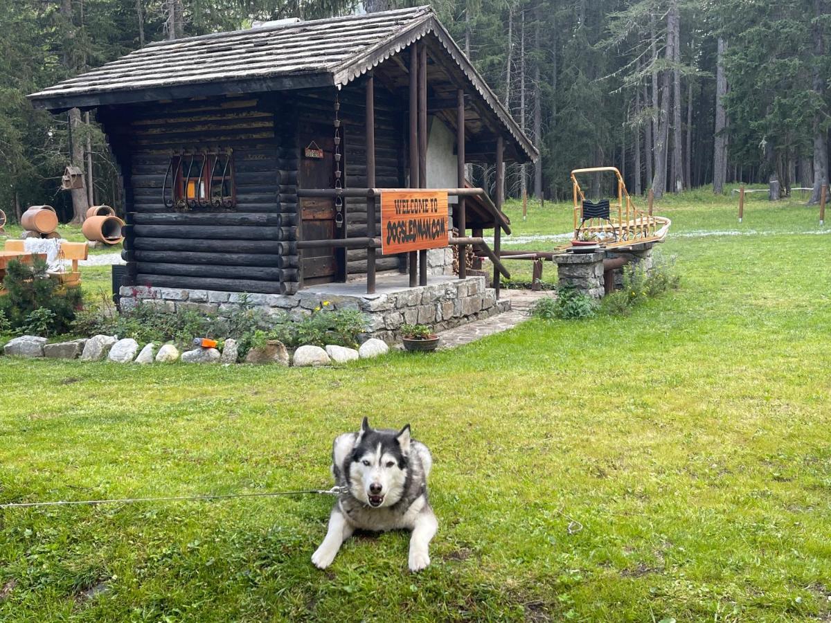 Wildhomes Wild Wolf Lodge Courmayeur Exteriér fotografie