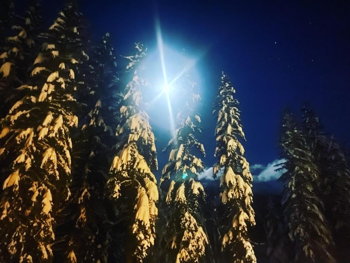 Wildhomes Wild Wolf Lodge Courmayeur Exteriér fotografie
