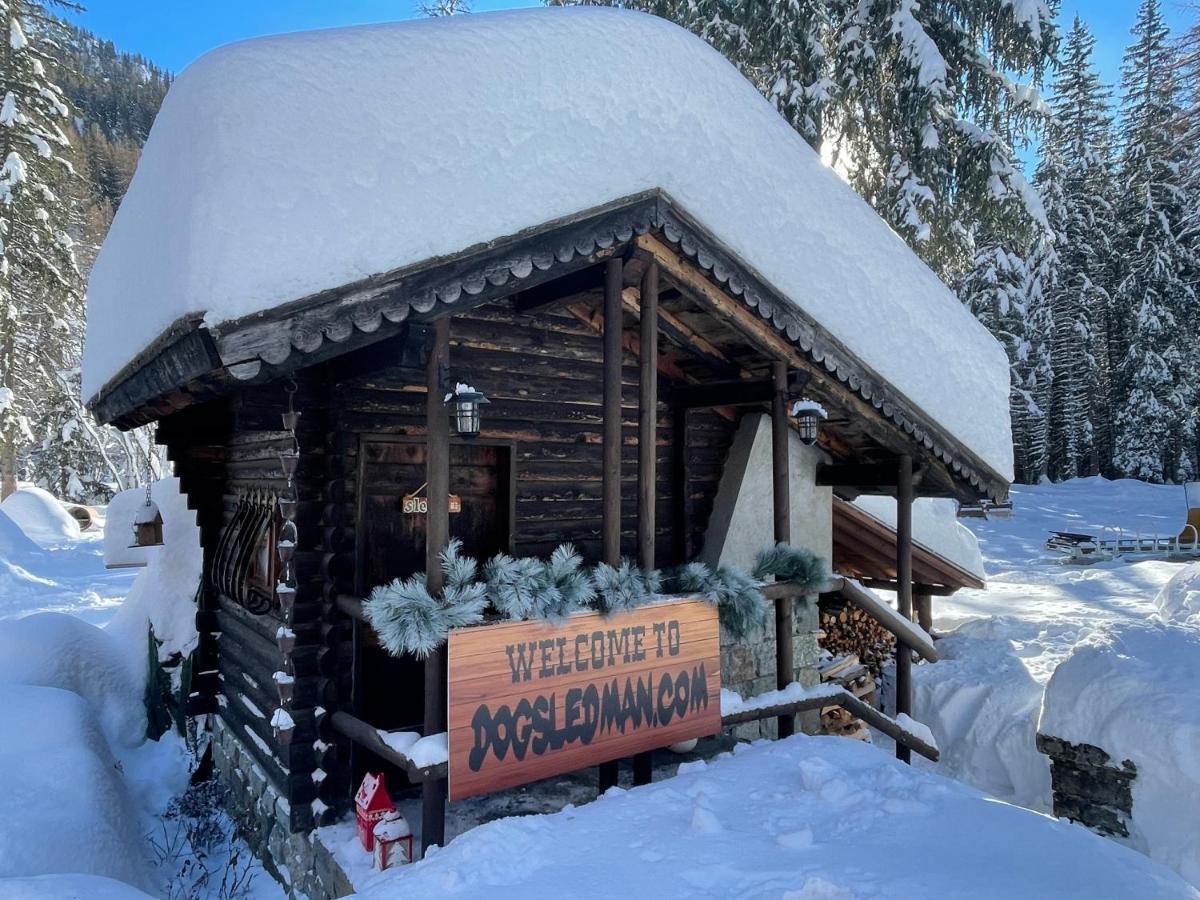 Wildhomes Wild Wolf Lodge Courmayeur Exteriér fotografie