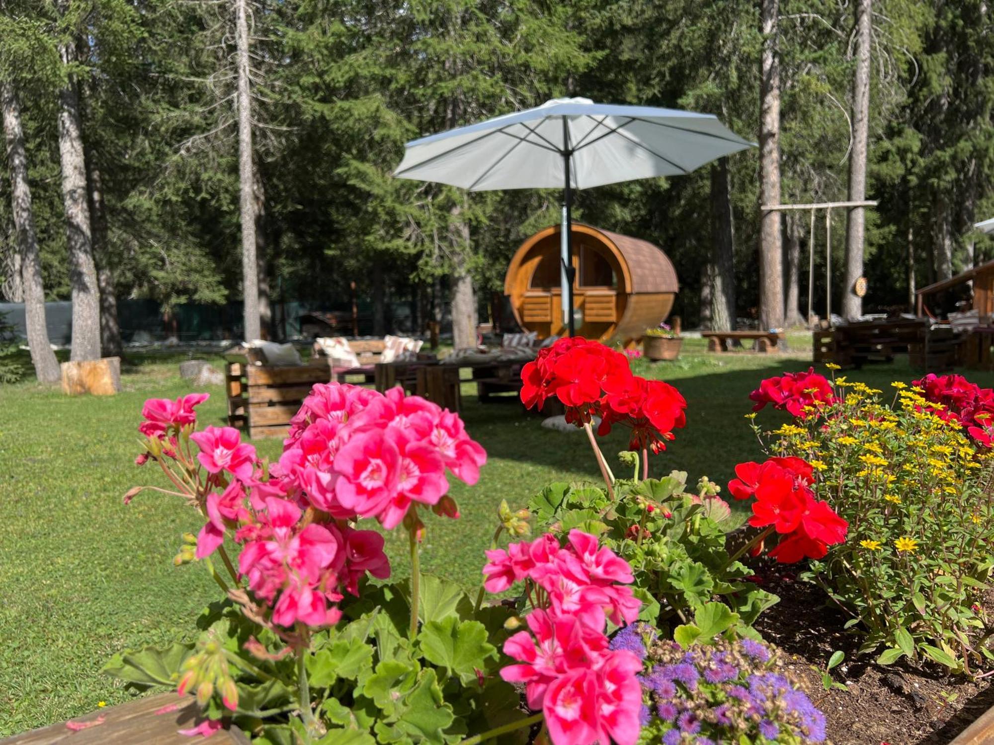Wildhomes Wild Wolf Lodge Courmayeur Exteriér fotografie
