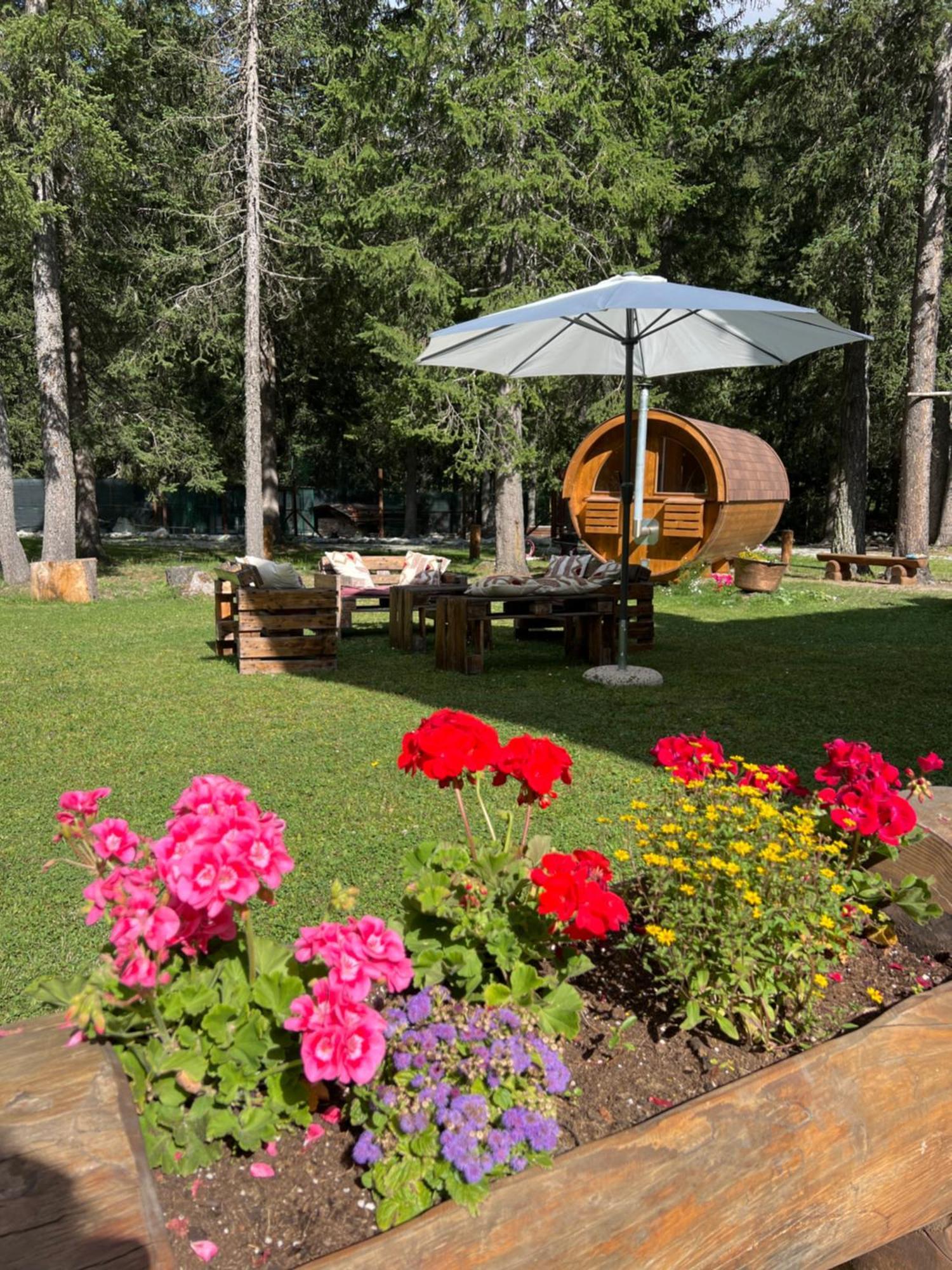 Wildhomes Wild Wolf Lodge Courmayeur Exteriér fotografie